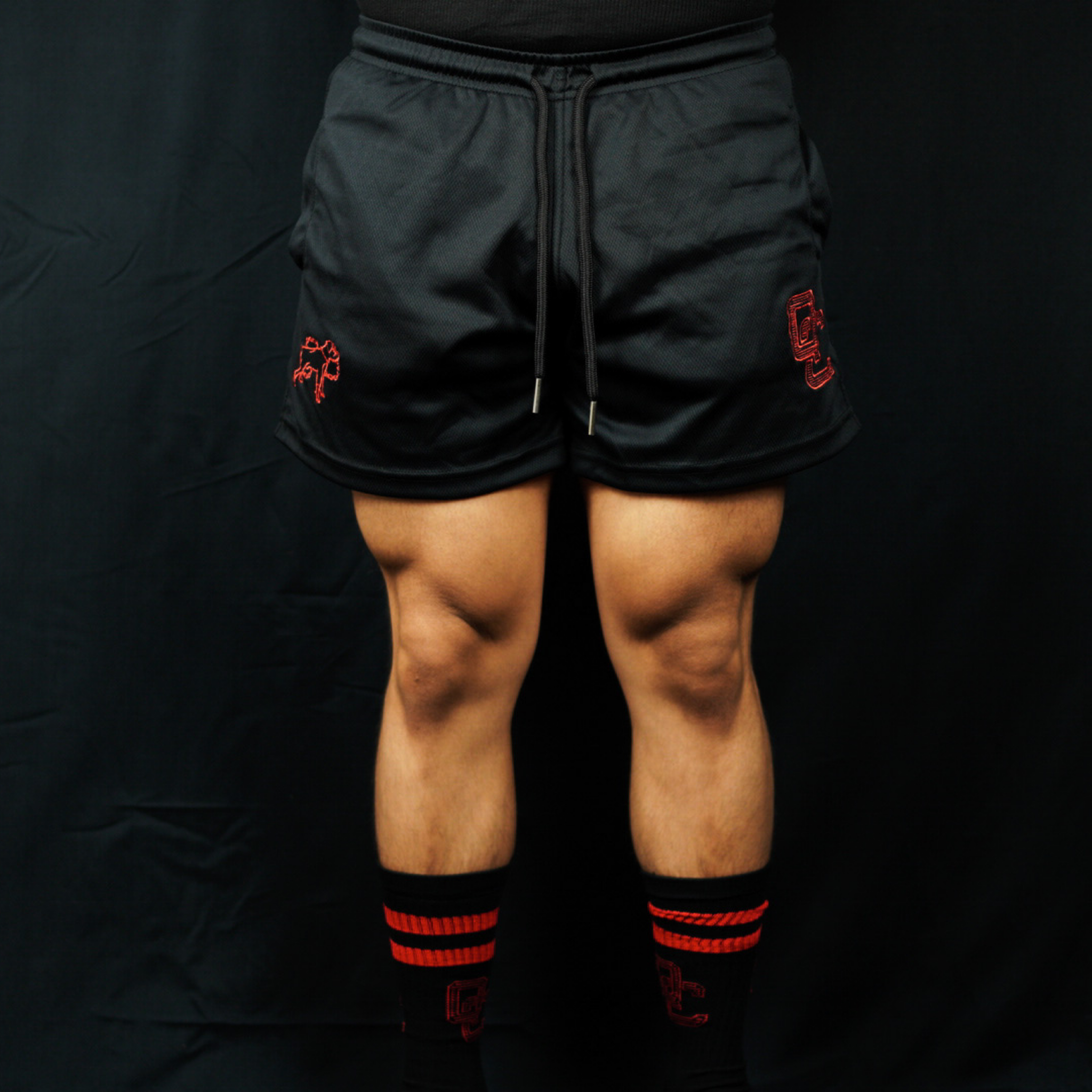 5" Inseam Athletic Mesh Shorts // Bred