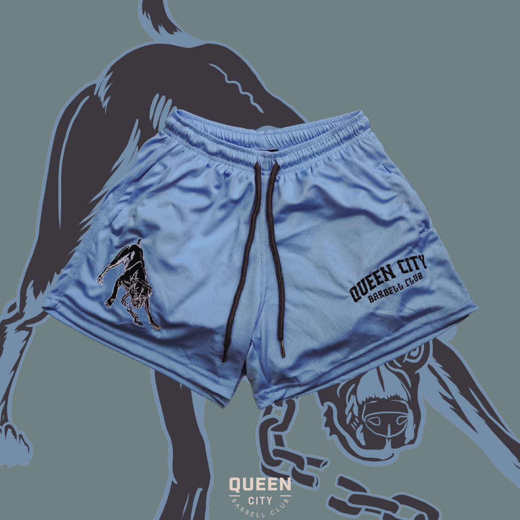 Tagged City SHORTS Barbell INSEAM – 5\